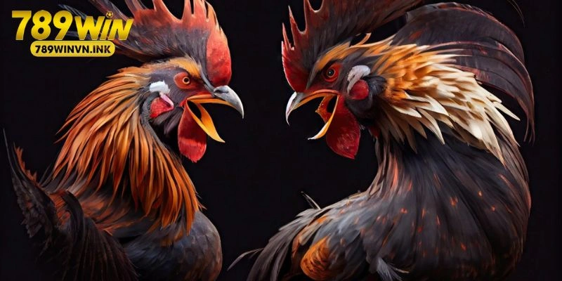 Đá gà Philippines